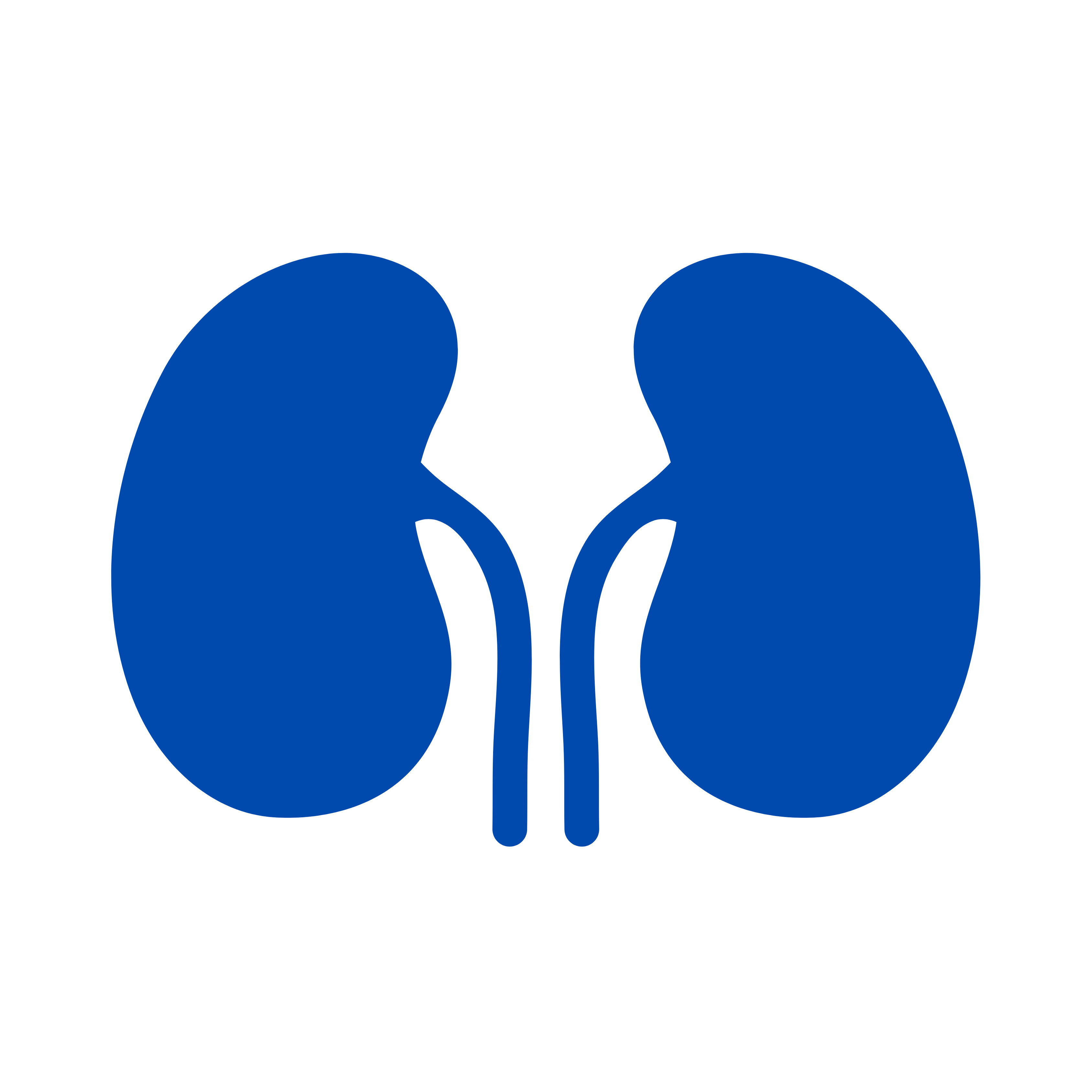 Kidney