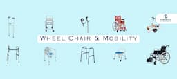 Wheelchair and Mobility